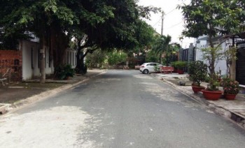 Bán đất - Thua độ bán gấp 2 lô đất 5 x19 đường Tân Túc, Bình Chánh,SHR