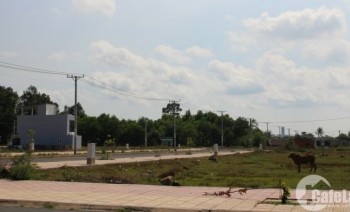 324m2 đất thổ cư mặt tiền kinh doanh SHR chỉ 1,1 tỉ