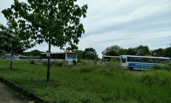 Đất thổ vườn, đã san lấp cao ráo, đường bê tông xi măng Đinh Đức Thiện