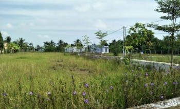 Đất kinh doanh xây trọ ngay cụm KCN, 490 triệu, mặt tiền Nguyễn Trung Trực