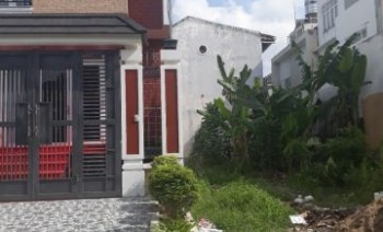 Vợ Chồng Em Ra Bắc Lập Nghiệp Nên Để lại Mành Đất Giá Rẻ