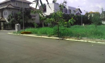 Gấp, gấp!!!! thiếu nợ ngân hàng lãi suất lớn, cần bán gấp đất mặt tiền đường  hương lộ 11 xã hưng long.Lh:096.1153.796