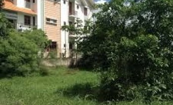 Bán đất mặt tiền giá rẻ chính chủ  lô, SHR ,998 m2 , giá 6,8 tỷ trên đường lô 11, xã  Hưng Long huyện bình chánh Hồ chí Minh.