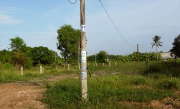 Chính chủ bán 4900m2 đất Bình Chánh đường Võ Văn Thu, Hưng Long, giá 1.5 tr/m2