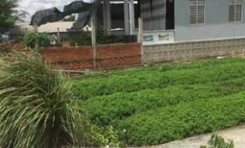 Bán nhà vườn bình chánh DT 860m2 giá chỉ 2.8 tr/m2