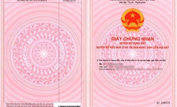 Đất đường Phan Văn Mảng - Bến Lức, ngay gần công viên, chính chủ cần bán gấp 239tr