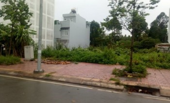 Đât nền Sổ Hồng Riêng Ngay Sau Chợ Bình Chánh, Mua Sang Tên Công Chứng Ngay, Chỉ 350 Triệu.