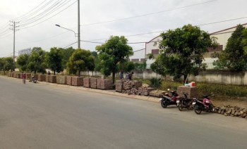 Mở Bán Giai Đoạn 1 Dự Án QL50 Sổ Hồng Riêng Chỉ 460 Triệu Nền.