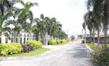 Bán đất xây trọ Bình Chánh chính chủ