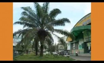 Quy hoạch phát triển tỉnh bình dương giai đoạn 2015 - 2020